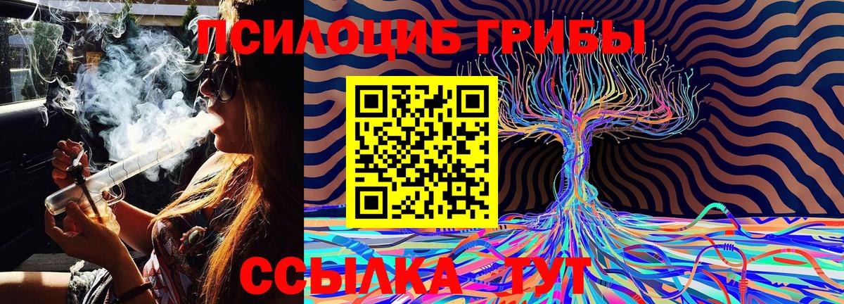 Псилоцибиновые грибы ЛСД  Галлюциногенные грибы Magic Shrooms  Вход с VPN  Сызрань 